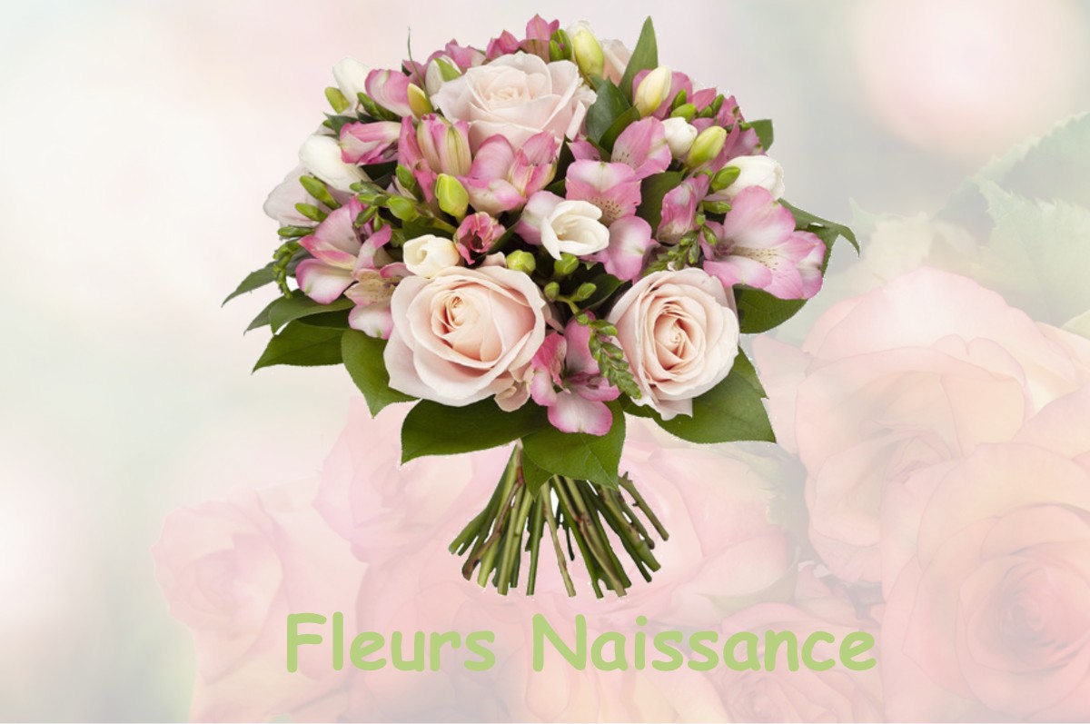 fleurs naissance BERCENAY-LE-HAYER