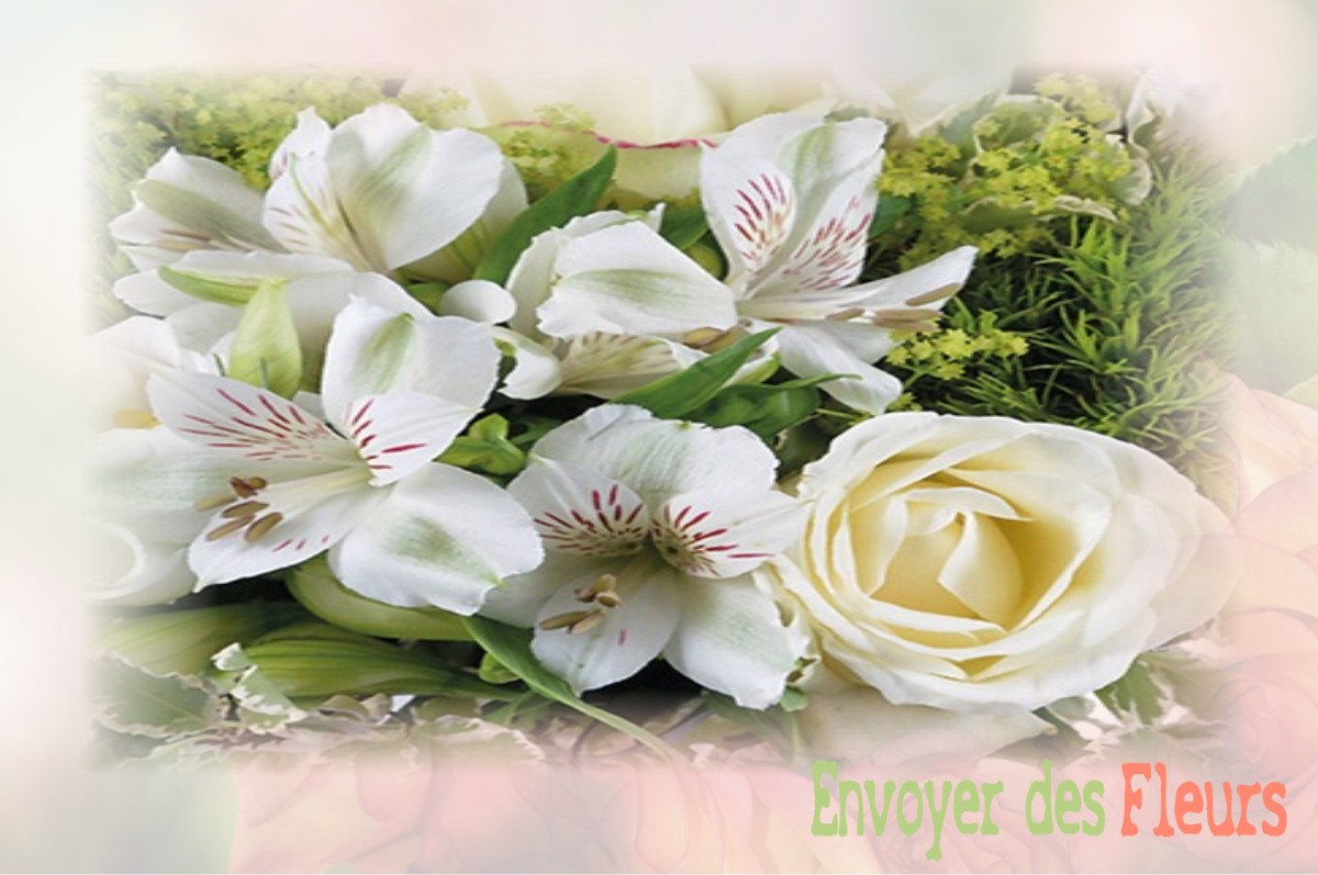 envoyer des fleurs à à BERCENAY-LE-HAYER